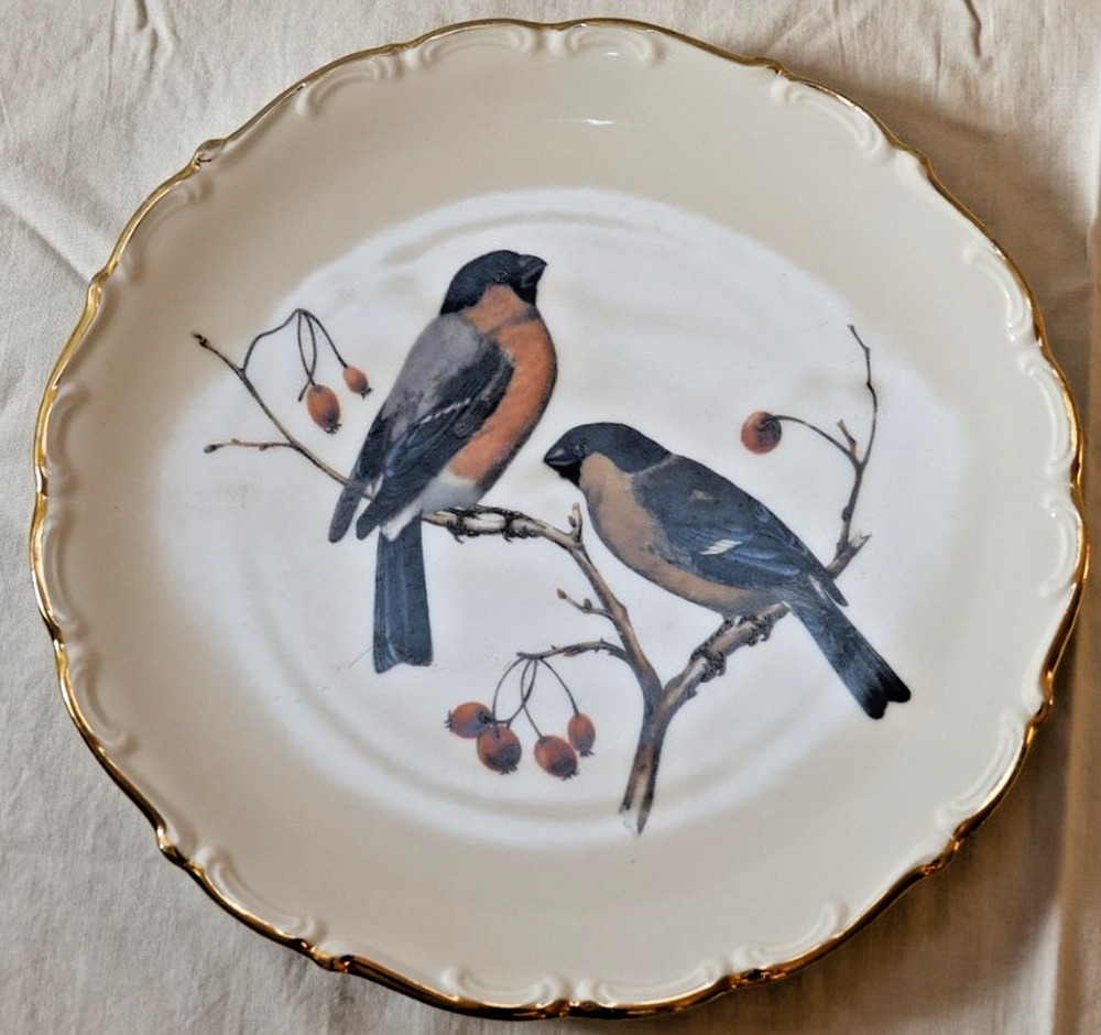 1950s Schumann Arzberg Bavaria Royal Crown E+R Bird Porcelain Plate